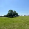 becca jayne - @beccajayne0713 - TikTok
