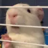 Don’t ask - @becca.jayne - TikTok
