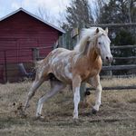 Becca Katz - @sdlmup - Instagram