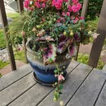 Rebecca Meyer - @becca_meyer - Instagram