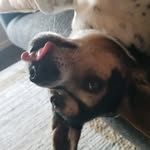 Rebecca Pinter - @nursestraks - Instagram