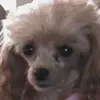 beccawatts55 - @beccawatts55 - TikTok
