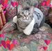 Beck Anderson - Facebook