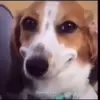 beck Anderson - @lil_b7777 - TikTok