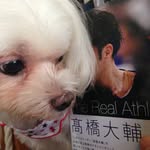 ATUKO - @beckchan.aaa - Instagram