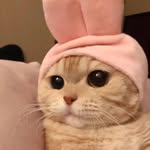 詹勛棠 - @beck.chan - Instagram