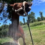 @becka.lee.nz - Instagram