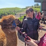 Becki Evans - @becki.evans.79 - Instagram