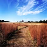 Becki Foster Anderson - @yourbayarea_photography - Instagram