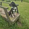 Becki Watson - @becki.watson - TikTok