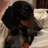 Becky Watson - @beckywatson01 - TikTok