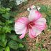 Beckie Clark - Facebook