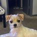 Becky Adkins - Facebook