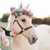 Becky_Anderson0 - @Becky_Anderson0 - TikTok