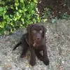 Becky Angus - @becky.angus - TikTok