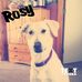 Becky Atchison - Facebook