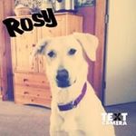 Becky Atchison - @atchison.becky - Instagram