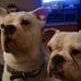 Becky Ault - Facebook