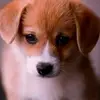 Becky Austin - @becky.austin67 - TikTok