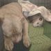 Becky Bain - Facebook