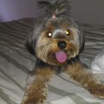 Becky / Ritinha - @_becky_barth - Instagram
