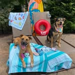 Becky Bauer - @bauerboys2 - Instagram