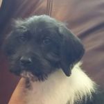Becky Bauer - @bauer9011 - Instagram