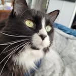 Becky Bauer - @mommabearbauer - Instagram