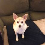 Becky Bauer - @becky.bauer.509 - Instagram