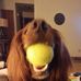 Becky Bauer - Facebook