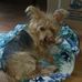 Becky Bayless Barnes - Facebook