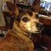 Becky Bender - Facebook
