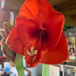 Becky Bender - @rsbender64 - Instagram