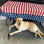 Becky Bender - @beckybender68 - Instagram