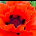 Becky Bender Benning - @bbbenning777 - Instagram