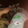 Becky Bingham699 - @beckybingham053 - TikTok