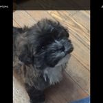 Becky Bingham - @bingham7710 - Instagram