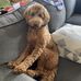 Becky Bankhead - Facebook