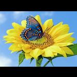 Becky Blankenship - @becky.blankenship.90 - Instagram