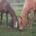 Becky Blanton - Facebook