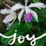 Becky Blanton - @becca.blan - Instagram