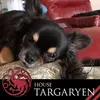 Becky Bloom - @beckybloom28 - TikTok