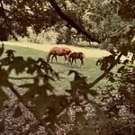 Becky Bock - @bock3025 - Instagram