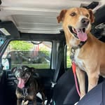 Becky Bock Christensen - @bockchristensen - Instagram