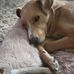 Becky Bock Christensen - Facebook