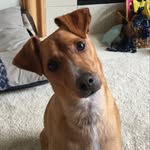 Becky Bohm - @beckybohm - Instagram