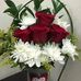 Borar Pakhi - Facebook