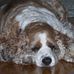Becky Bond - Facebook