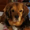 beckybond455 - @beckybond455 - TikTok