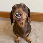 @boring.becky - Instagram